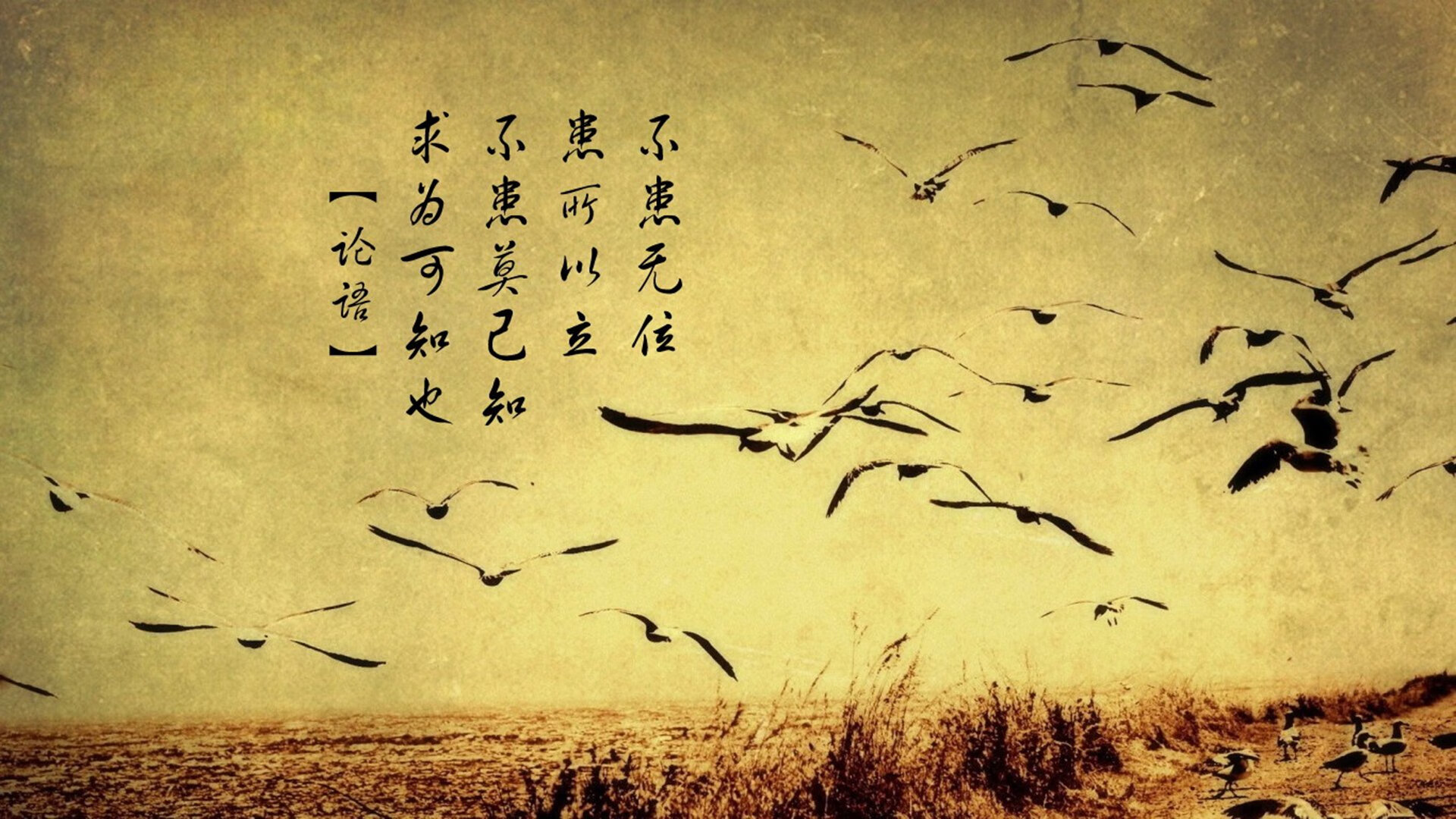 _云端极速跑：虚拟空间中挑战极限_，云端超级云
