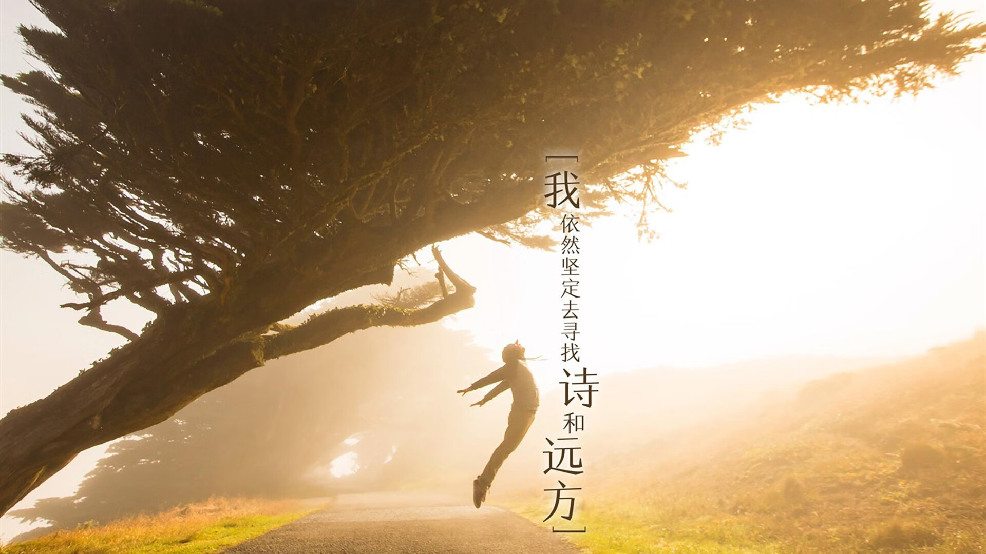 “意甲经典对话：激烈拼抢，战术变化频繁”，意甲 争四