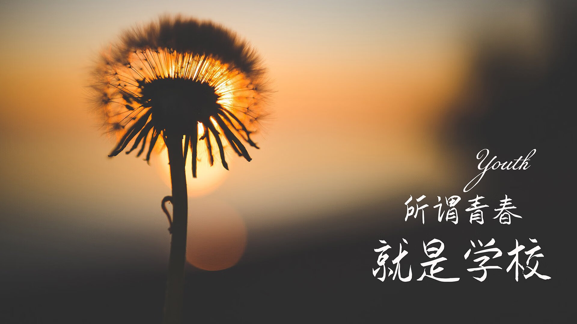 里昂在法甲联赛中排名第三，里昂法甲冠军